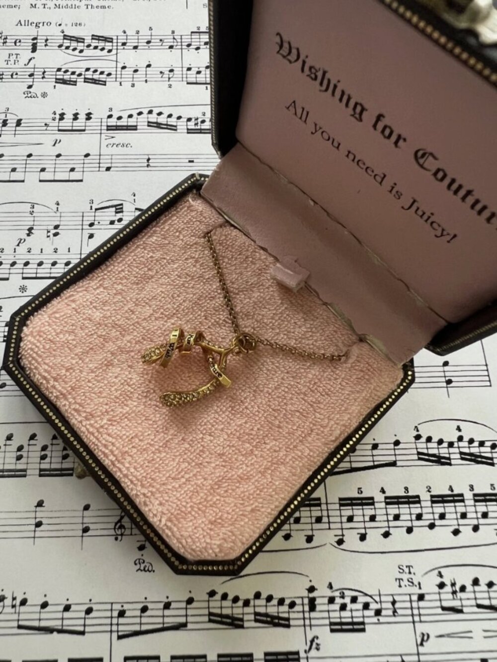 NWT-Retired-JUICY COUTURE CRYSTAL PAVE LUCKY WISHBONE GOLD TONE NECKLACE